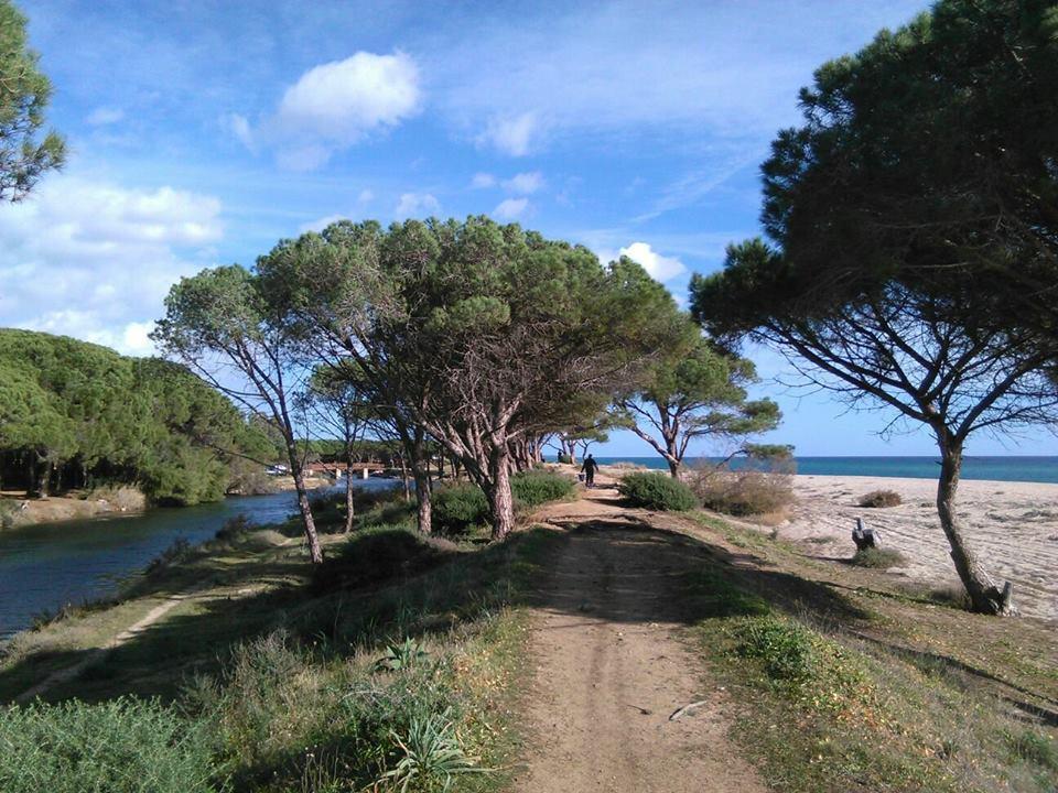 La Ginestra Guest House Orosei Luaran gambar