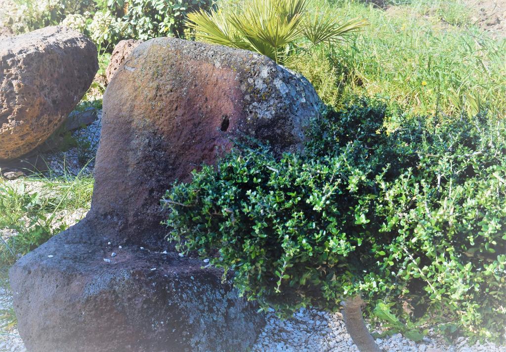 La Ginestra Guest House Orosei Luaran gambar